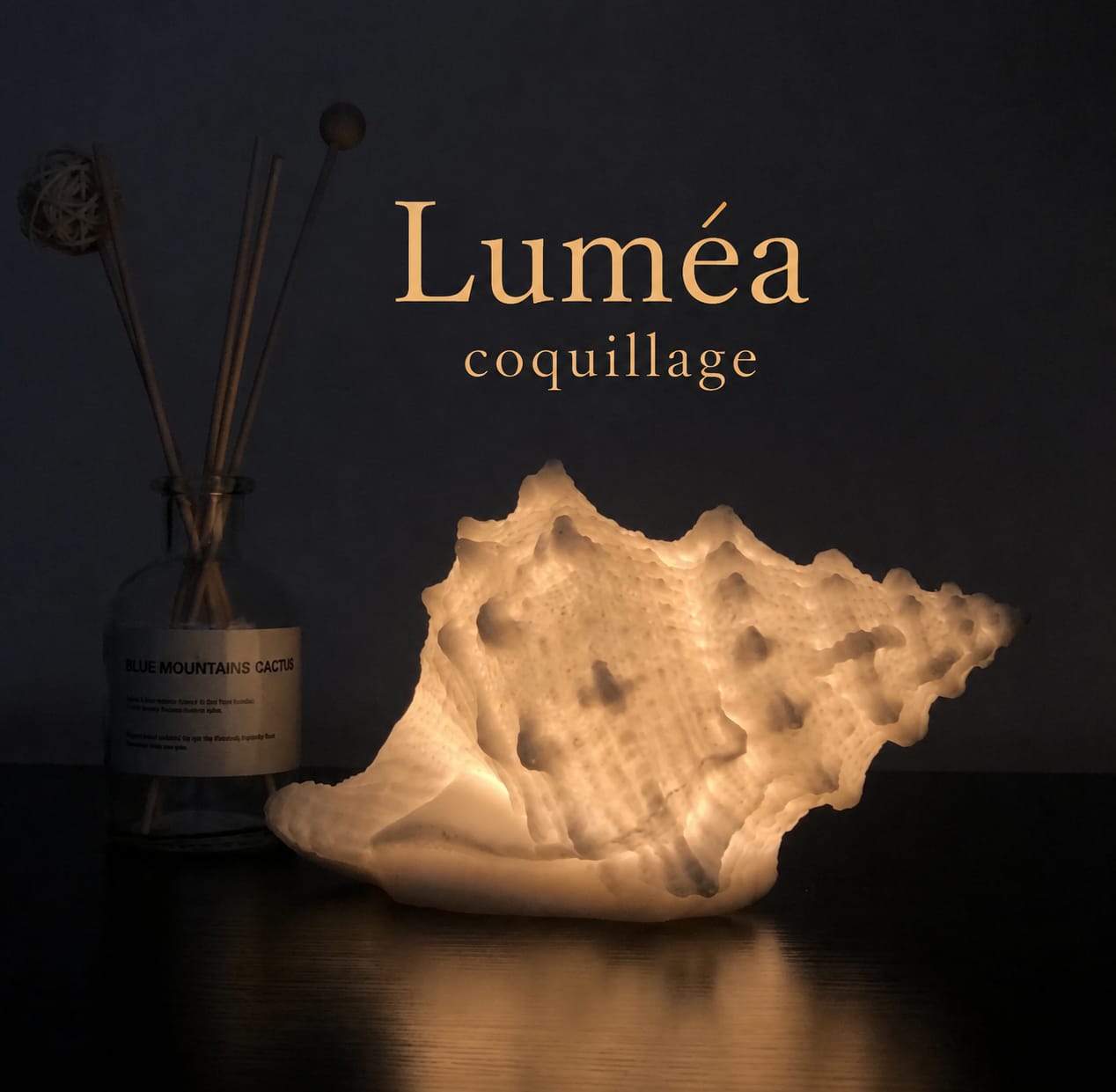 Luméa Coquillage
