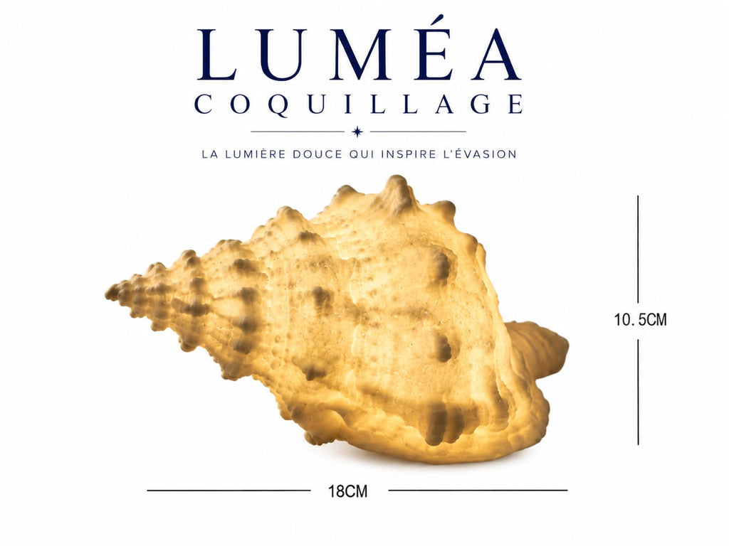 Luméa Coquillage