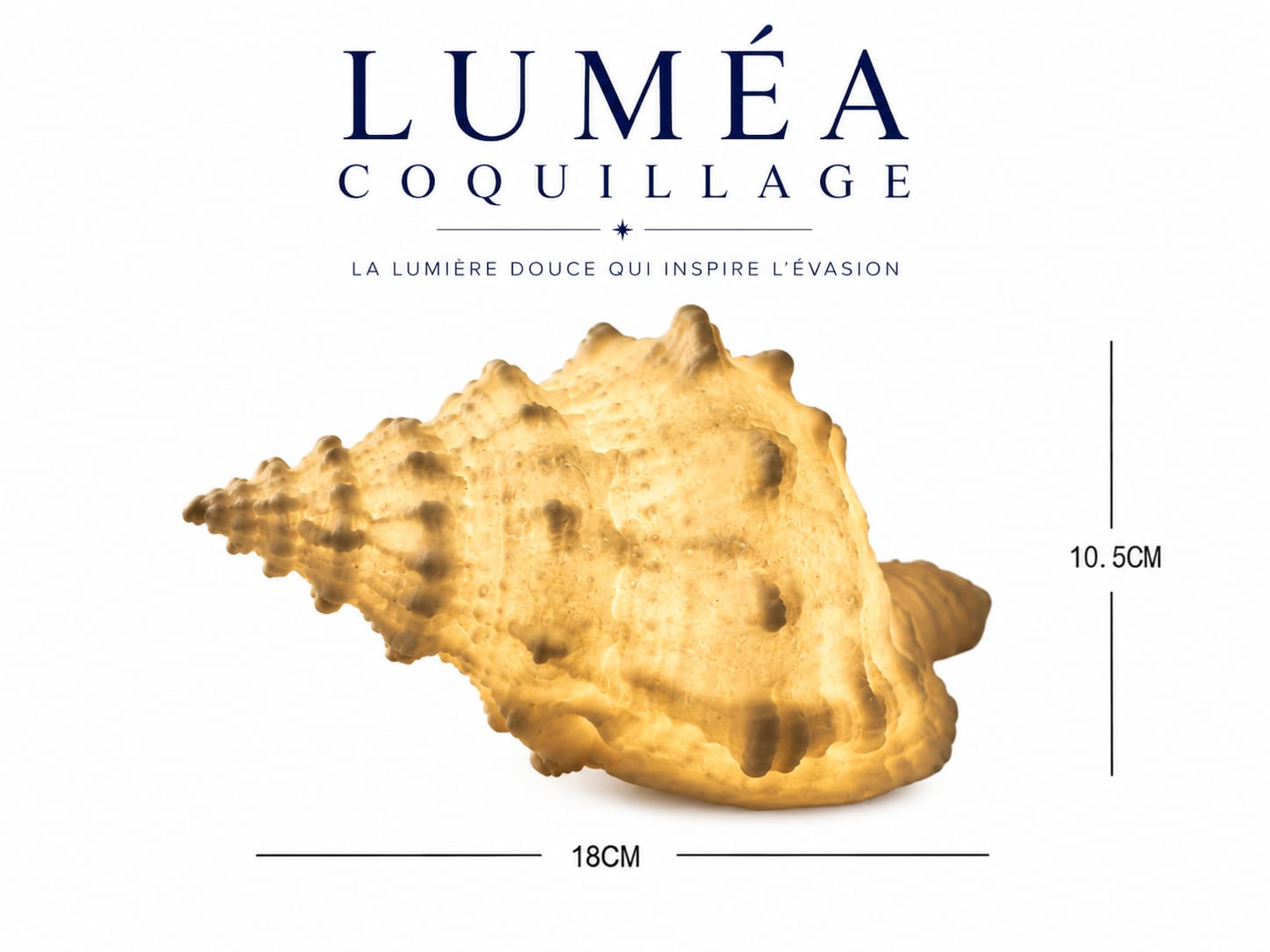 Luméa Coquillage